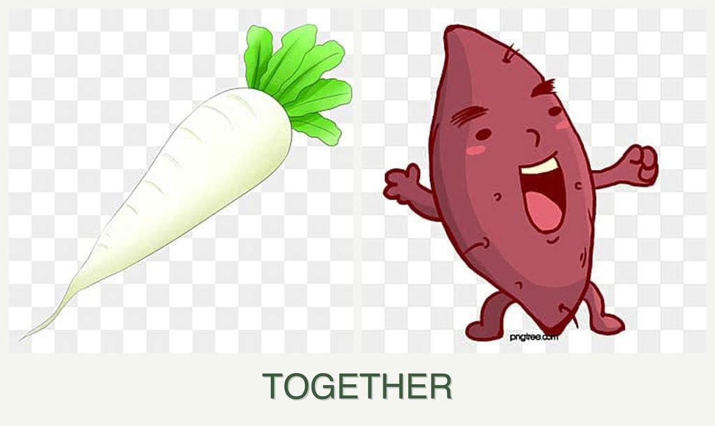 Can you plant radishes and sweet potatoes together?
