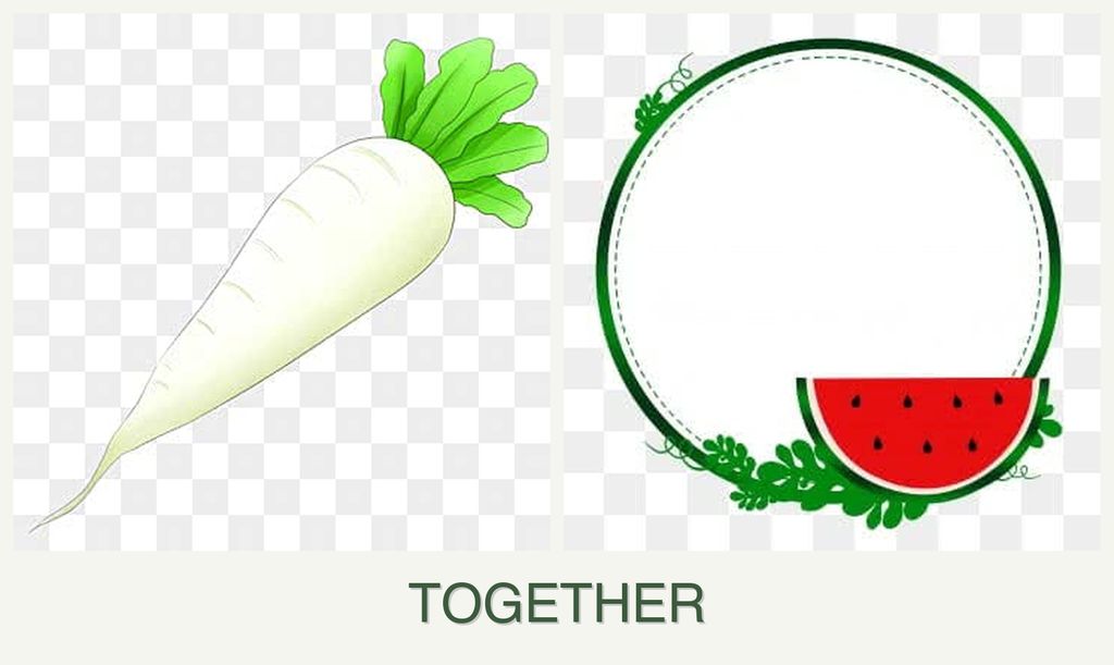 Can you plant radishes and watermelons together?