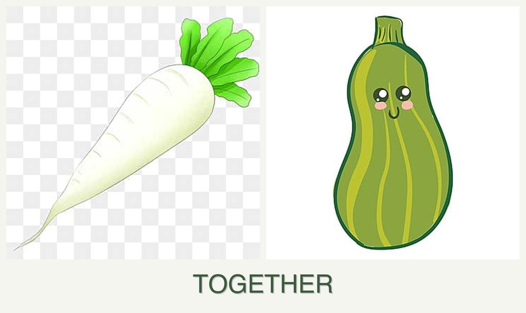 Can you plant radishes and zucchini together?