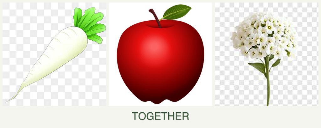 Can you plant radishes, apples and alyssum together?