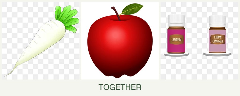 Can you plant radishes, apples and geraniums together?