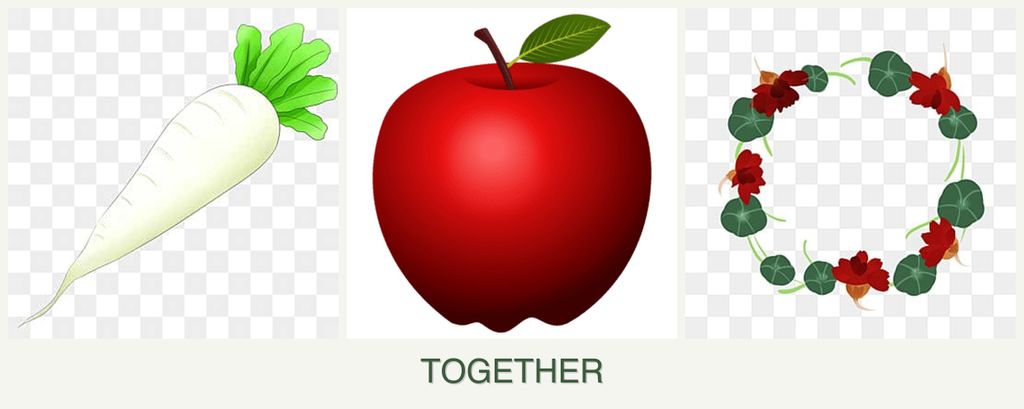 Can you plant radishes, apples and nasturtiums together?
