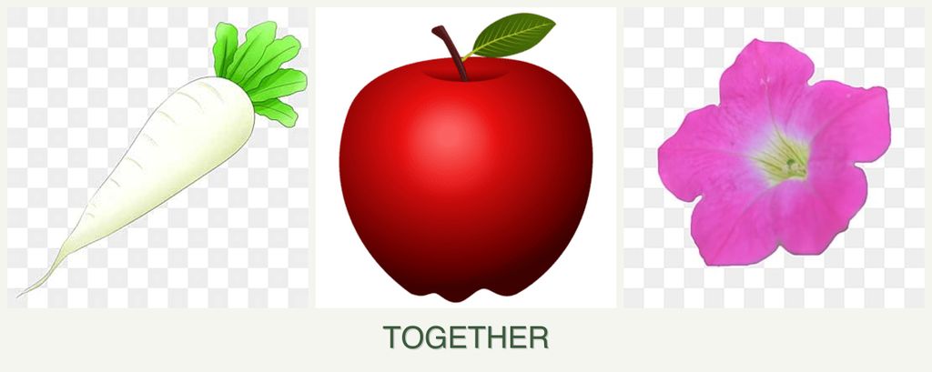 Can you plant radishes, apples and petunias together?