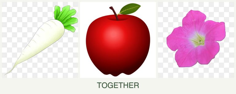 Can you plant radishes, apples and petunias together?