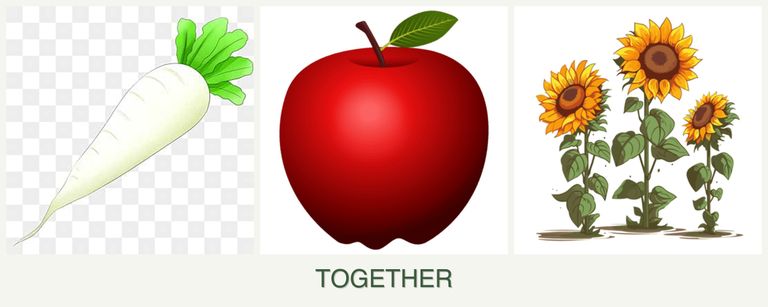 Can you plant radishes, apples and sunflowers together?