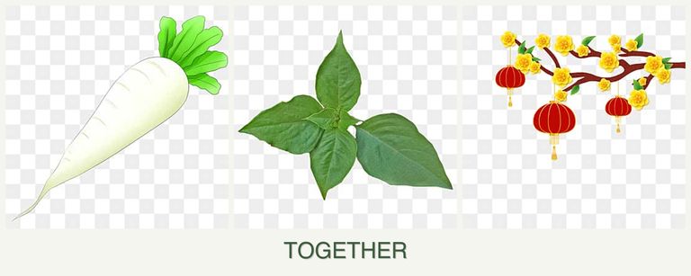Can you plant radishes, basil and apricots together?