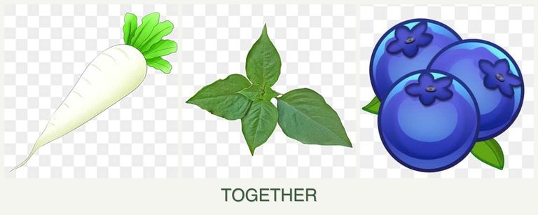 Can you plant radishes, basil and blueberries together?