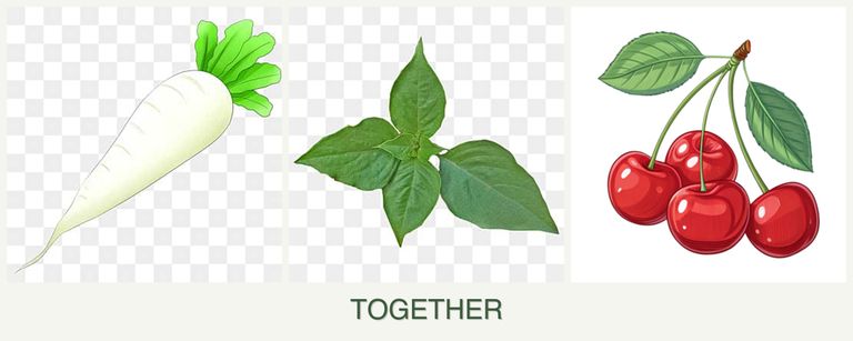 Can you plant radishes, basil and cherries together?