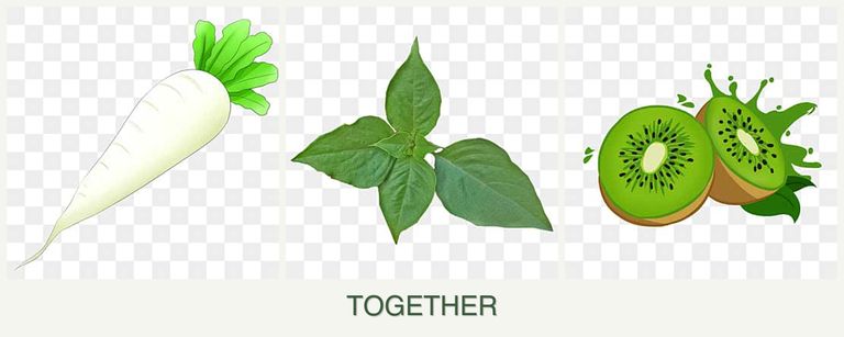 Can you plant radishes, basil and kiwi together?