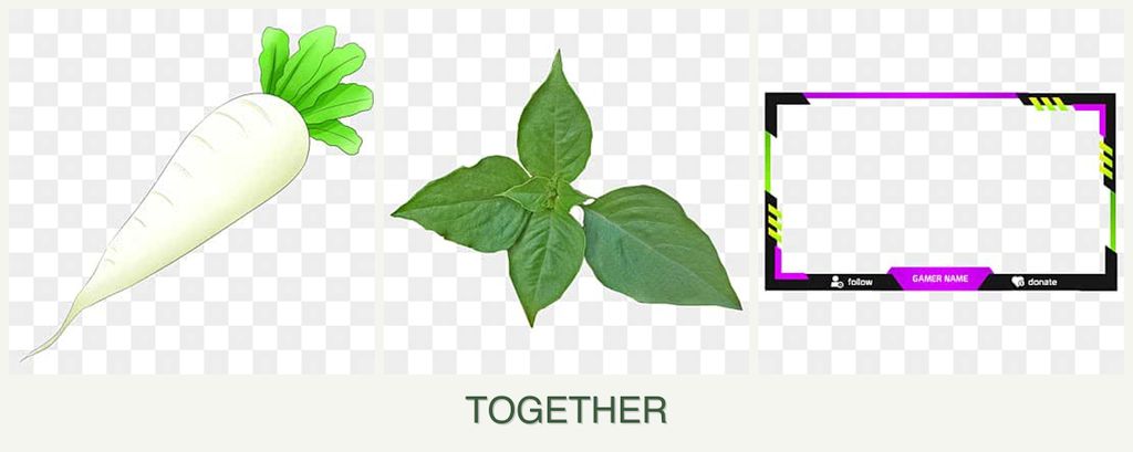 Can you plant radishes, basil and limes together?