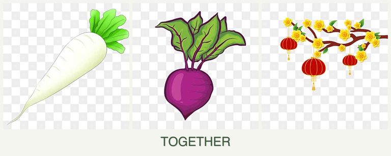 Can you plant radishes, beets and apricots together?