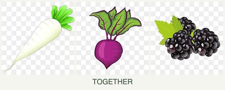 Can you plant radishes, beets and blackberries together?