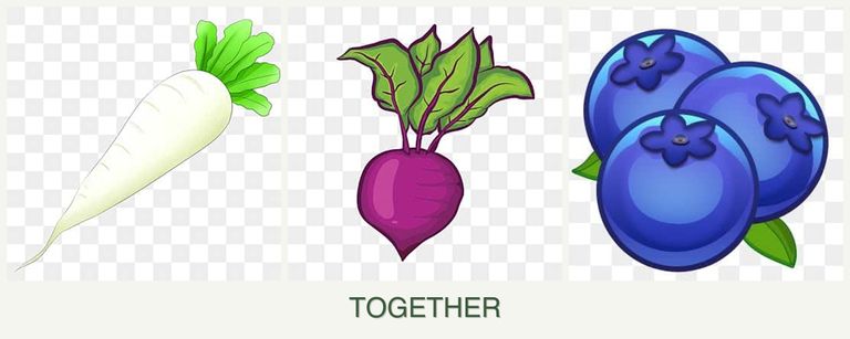 Can you plant radishes, beets and blueberries together?