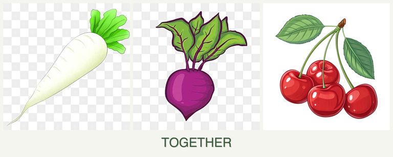 Can you plant radishes, beets and cherries together?