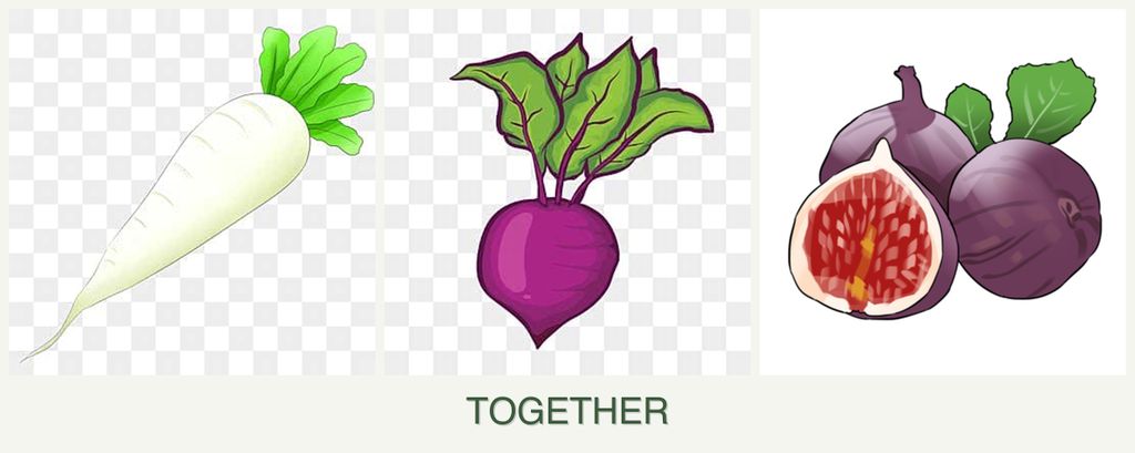 Can you plant radishes, beets and figs together?