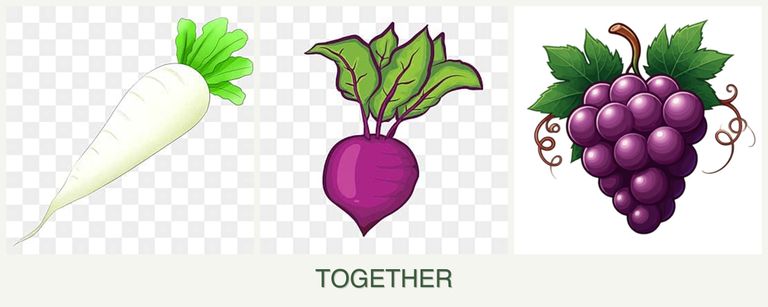 Can you plant radishes, beets and grapes together?