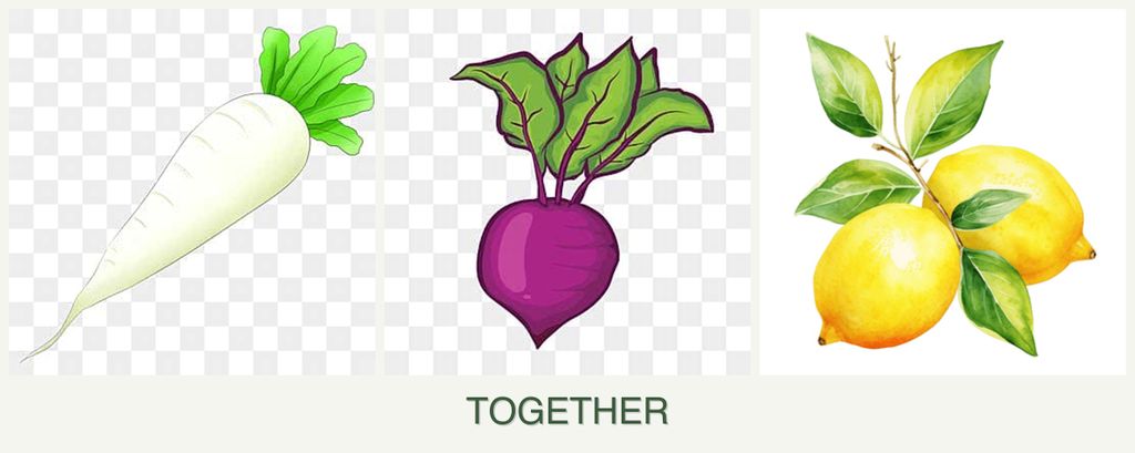 Can you plant radishes, beets and lemons together?