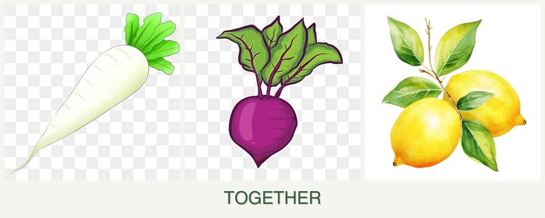 Can you plant radishes, beets and lemons together?