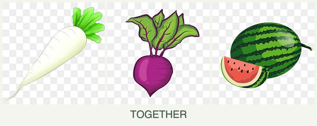 Can you plant radishes, beets and melons together?