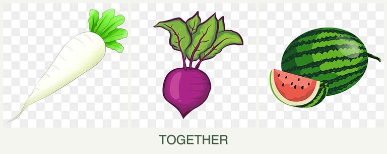 Can you plant radishes, beets and melons together?