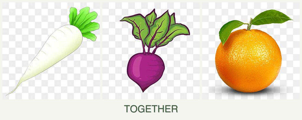 Can you plant radishes, beets and oranges together?