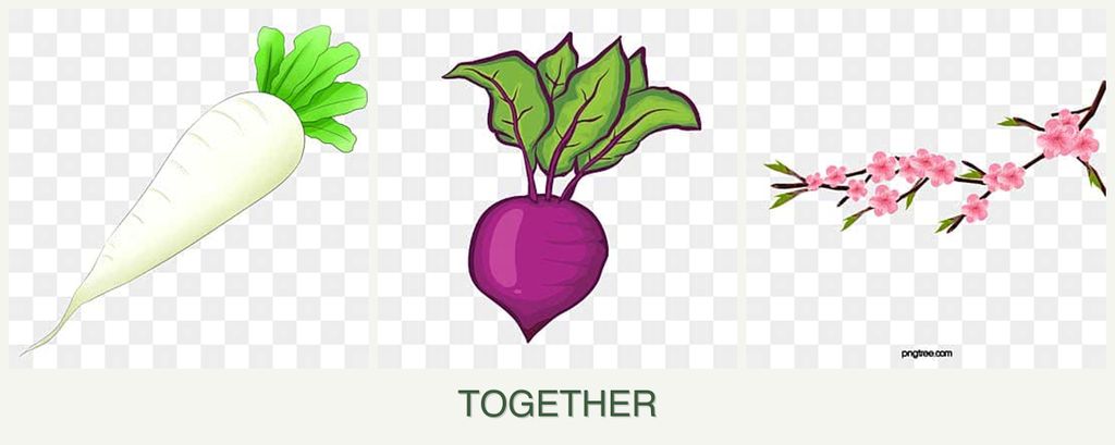 Can you plant radishes, beets and peaches together?