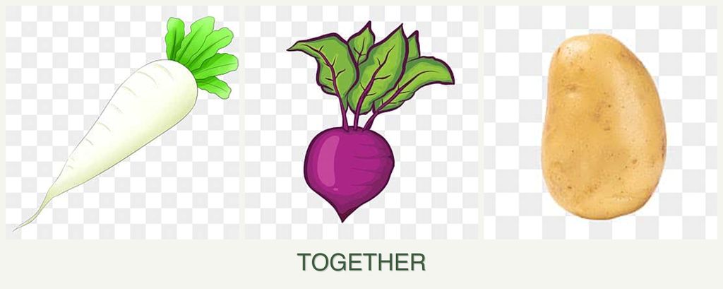 Can you plant radishes, beets and potatoes together?