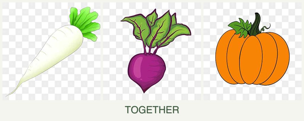 Can you plant radishes, beets and pumpkin together?