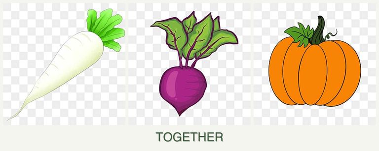 Can you plant radishes, beets and pumpkin together?