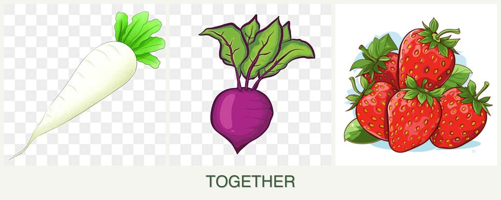 Can you plant radishes, beets and strawberries together?