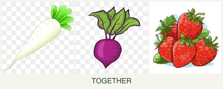 Can you plant radishes, beets and strawberries together?