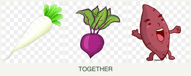 Can you plant radishes, beets and sweet potatoes together?