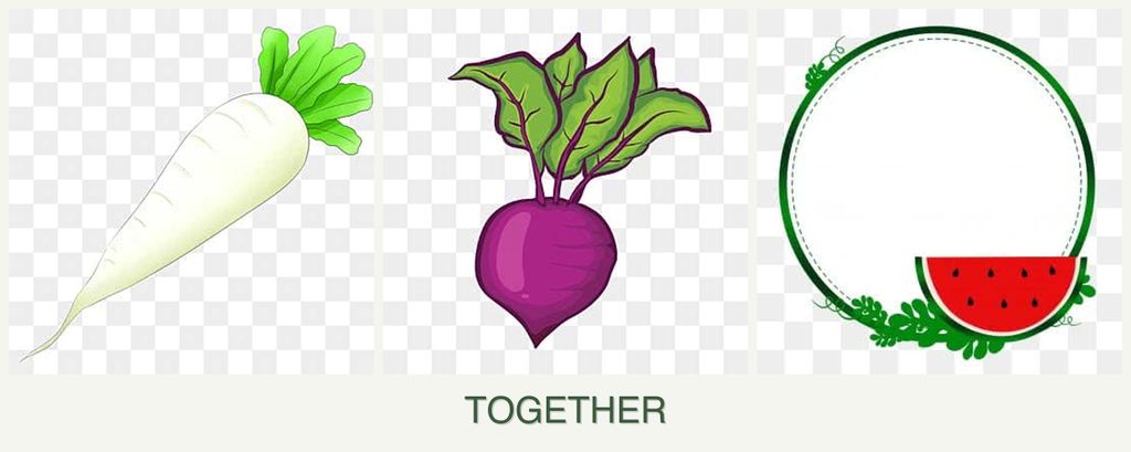 Can you plant radishes, beets and watermelons together?