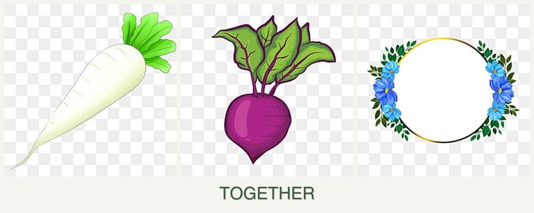 Can you plant radishes, beets and zinnias together?
