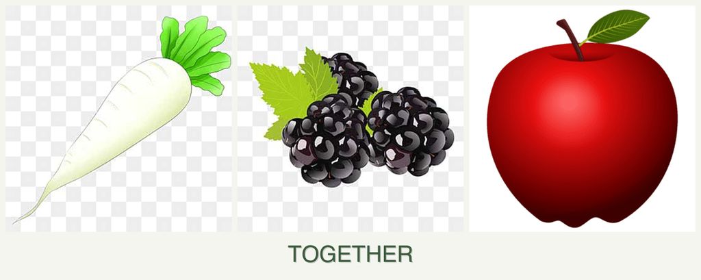 Can you plant radishes, blackberries and apples together?