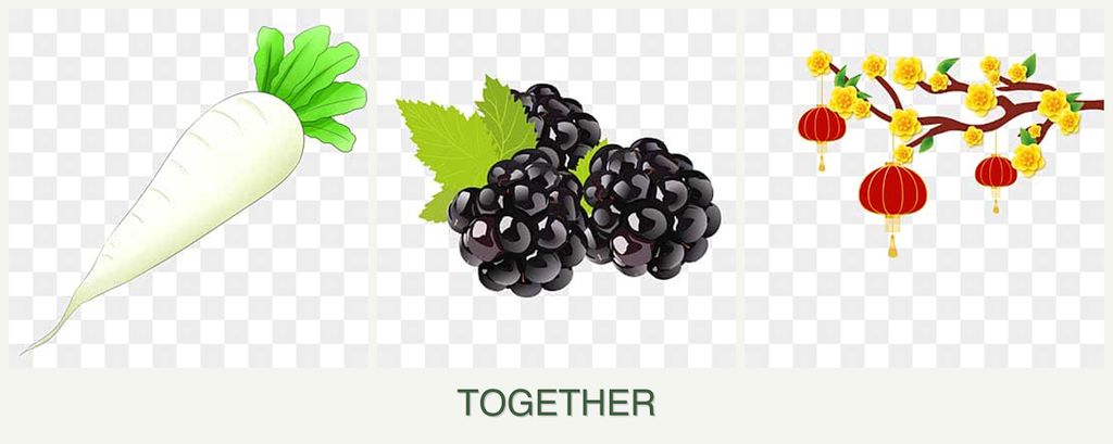 Can you plant radishes, blackberries and apricots together?