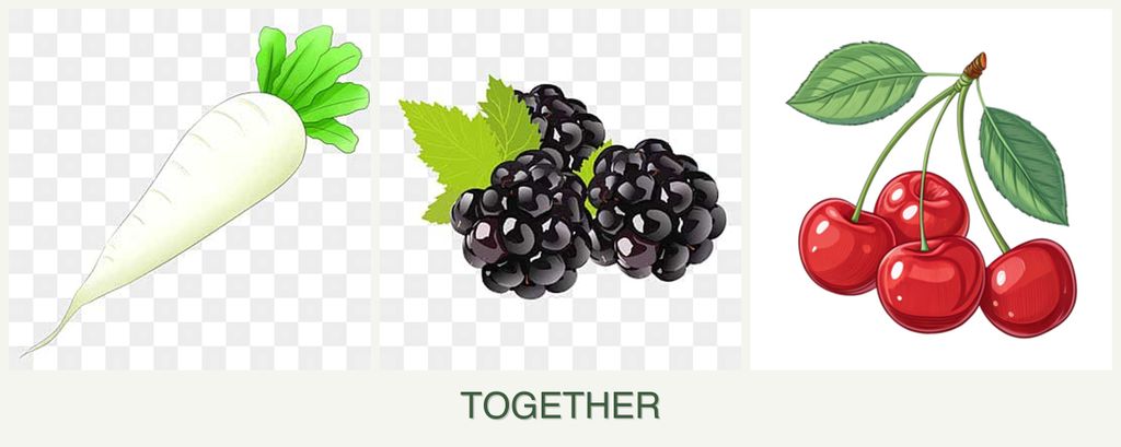 Can you plant radishes, blackberries and cherries together?