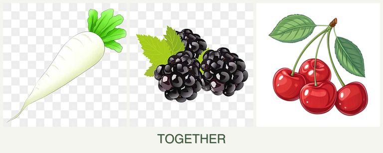 Can you plant radishes, blackberries and cherries together?
