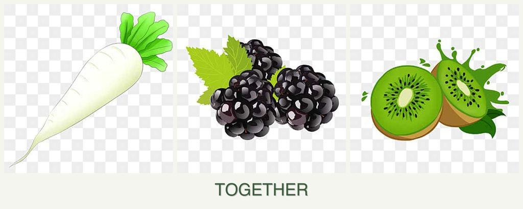 Can you plant radishes, blackberries and kiwi together?