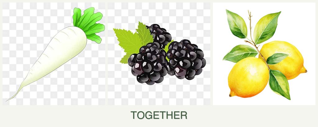 Can you plant radishes, blackberries and lemons together?
