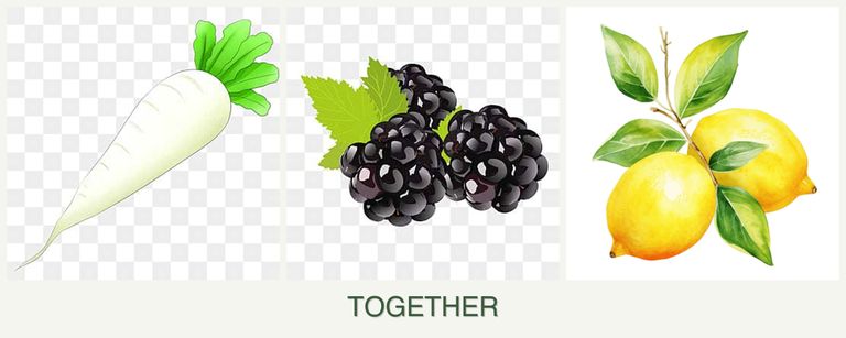 Can you plant radishes, blackberries and lemons together?