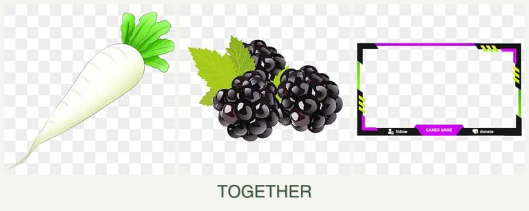 Can you plant radishes, blackberries and limes together?
