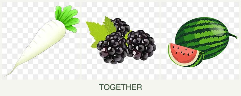 Can you plant radishes, blackberries and melons together?