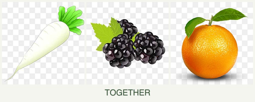 Can you plant radishes, blackberries and oranges together?