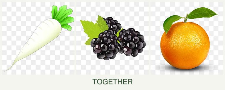 Can you plant radishes, blackberries and oranges together?