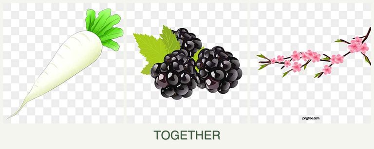 Can you plant radishes, blackberries and peaches together?