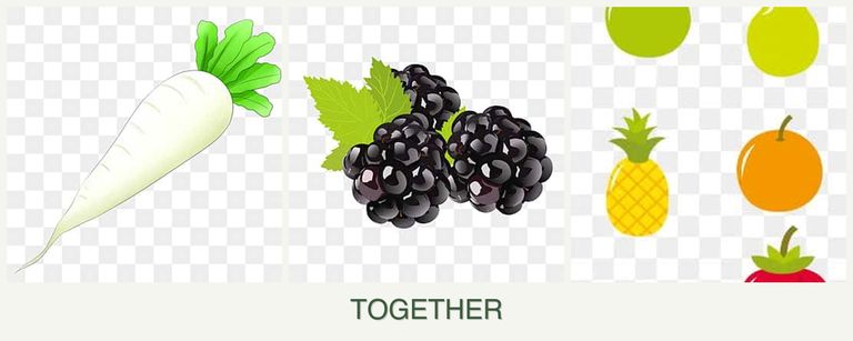 Can you plant radishes, blackberries and pears together?
