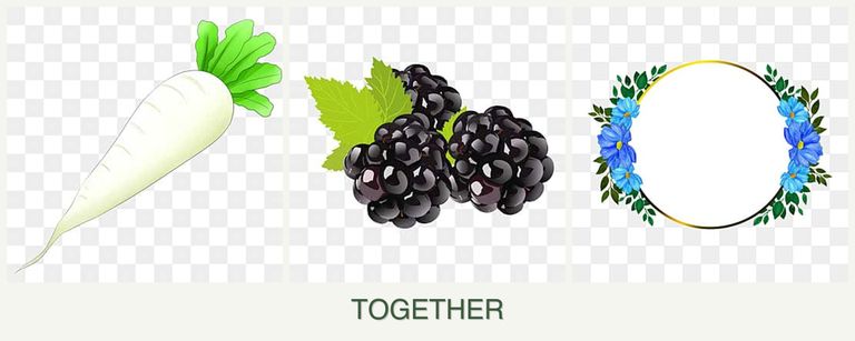Can you plant radishes, blackberries and zinnias together?