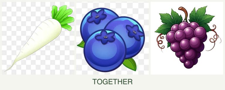 Can you plant radishes, blueberries and grapes together?