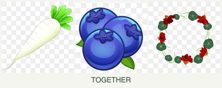Can you plant radishes, blueberries and nasturtiums together?